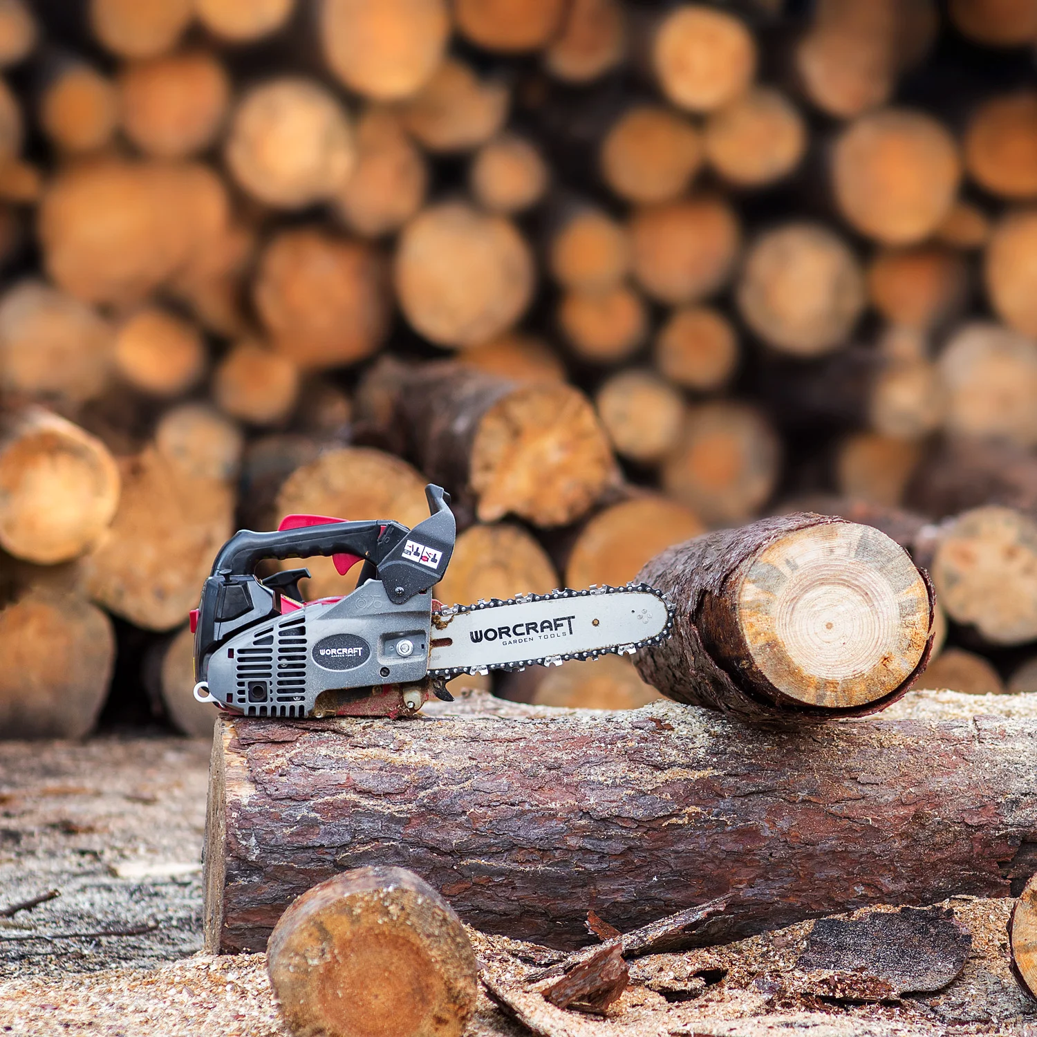 Fierastrau cu lant Worcraft GCS26-10A 1 Fierastrau cu lant Worcraft GCS26-10A